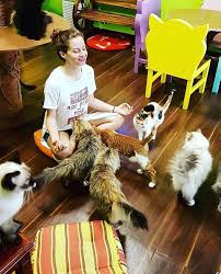 Try cat yoga at Dubai's Ailuromania Café