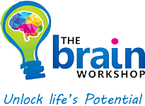 The Brain Workshop