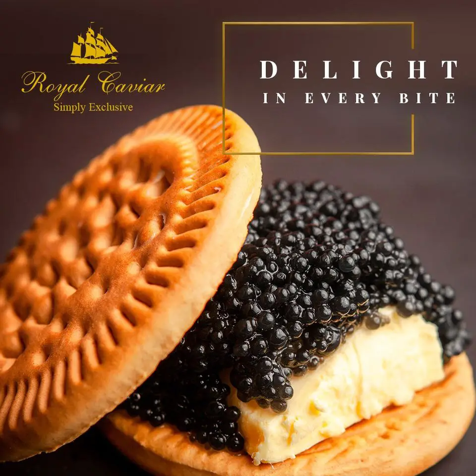 Salmon-royal-caviar-golden-caviar-seafood-suppliers-in-dubai