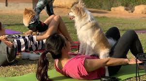 Puppy Pilates Class