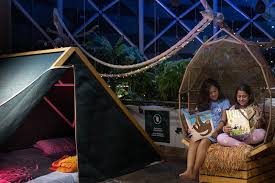 Rain forest sleepover in Green Planet