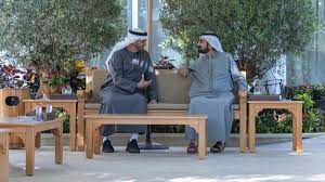 UAE President, Vice-President meet in Dubai