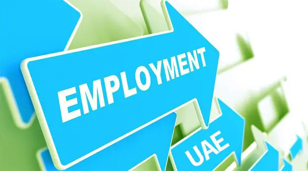 New job classification scheme launched in UAE
