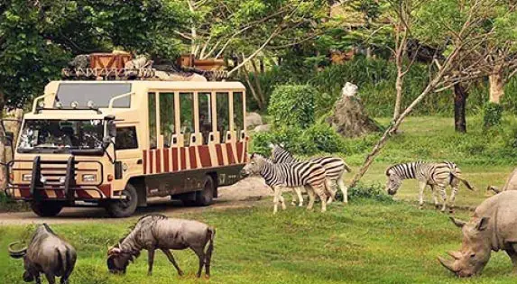 dubai safari park